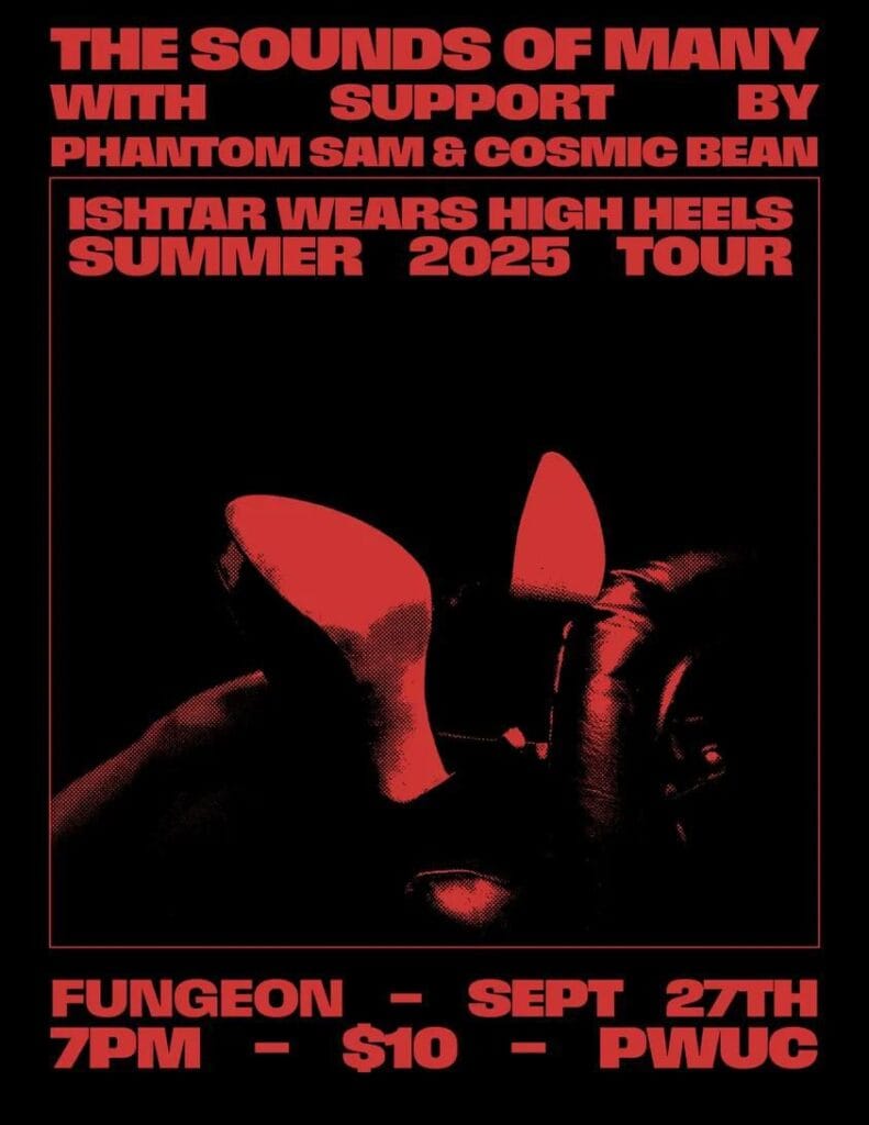 The Sounds of Many, Phantom Sam, Cosmic Bean 2 img 20250805 154147 4285633775539464083860 The Sounds of Many, Phantom Sam, Cosmic Bean